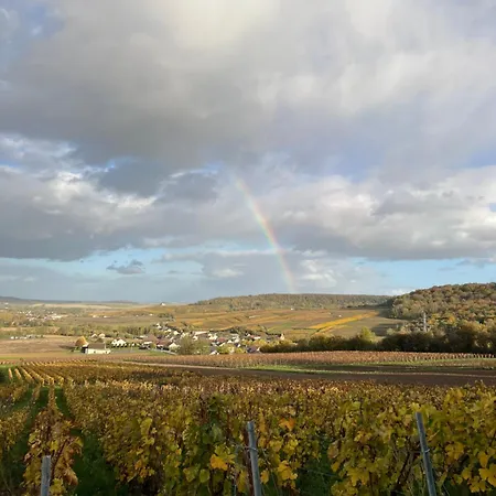 Les Chantereines Maison Calme Au Coeur Du Vignoble Champenois Гостевой дом Brugny-Vaudancourt