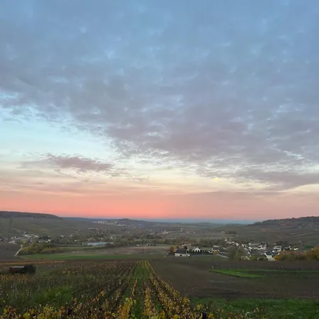 Les Chantereines Maison Calme Au Coeur Du Vignoble Champenois Гостевой дом Brugny-Vaudancourt