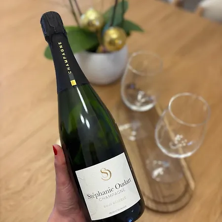 Les Chantereines Maison Calme Au Coeur Du Vignoble Champenois Brugny-Vaudancourt