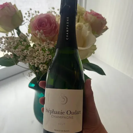 Les Chantereines Maison Calme Au Coeur Du Vignoble Champenois * Brugny-Vaudancourt