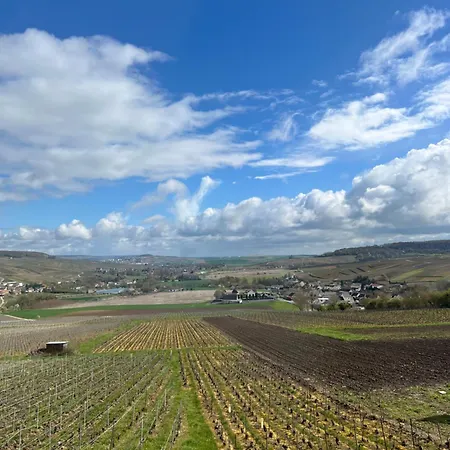 Les Chantereines Maison Calme Au Coeur Du Vignoble Champenois Brugny-Vaudancourt