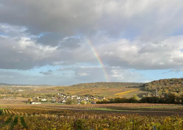 Les Chantereines Maison Calme Au Coeur Du Vignoble Champenois Гостевой дом Brugny-Vaudancourt