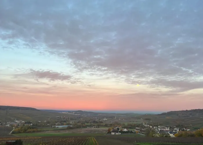 Les Chantereines Maison Calme Au Coeur Du Vignoble Champenois Гостевой дом Brugny-Vaudancourt