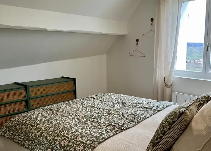 Les Chantereines Maison Calme Au Coeur Du Vignoble Champenois * Brugny-Vaudancourt